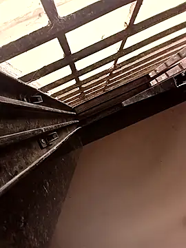 ipvk online show from 03.19.26