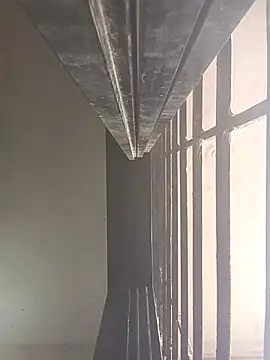 ipvk online show from 04.01.26