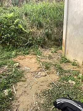 phuongxinhxan online show from 03.31.26