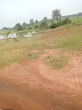 AgitatedStrip9 online show from 09.22.25