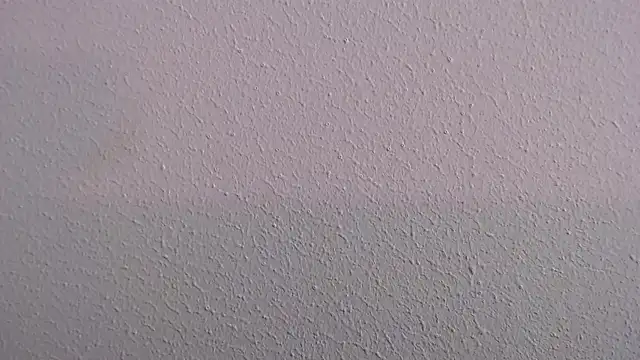 Camila Torresss online show from 03.30.26