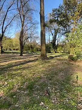 fioralba online show from 03.27.26