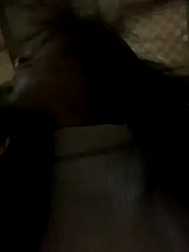 Halyy xx online show from 11.08.25