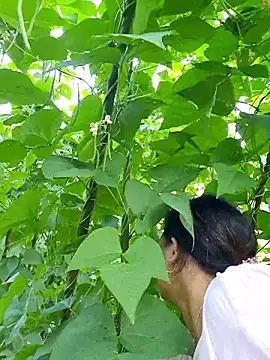 diamond-- online show from 10.05.25