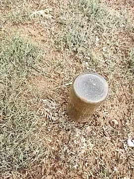 Snapshot of telugumodda4396 chatting on 10.06.25 telugumodda4396 online show from 10.06.25