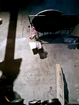 xuxulovezz online show from 11.13.25