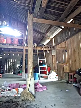 xuxulovezz online show from 03.02.26