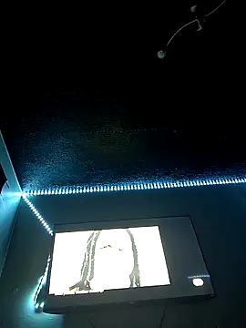 Painstickwes online show from 02.05.26