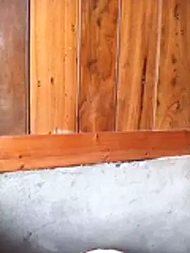 Mai lovely online show from 02.27.26