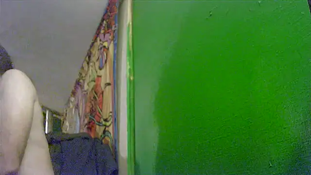 Snapshot of HippieDad333 chatting on 11.25.25 HippieDad333 online show from 11.25.25