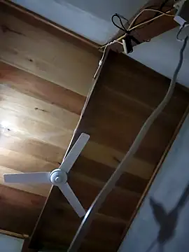 Meoweo 23 online show from 10.01.25