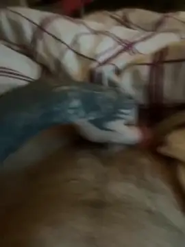 Snapshot of Thebald-topher chatting on 09.28.25 Thebald-topher online show from 09.28.25