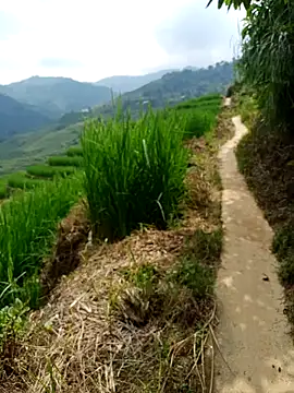 nhinhi-sexy online show from 10.10.25