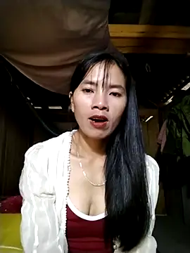 lmc-zz online show from 11.01.25