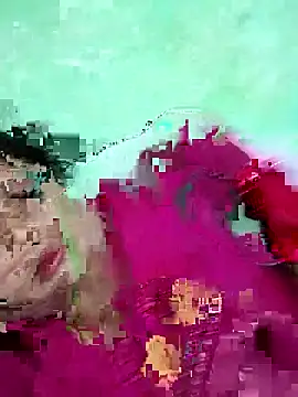 Na shreya online show from 04.12.26