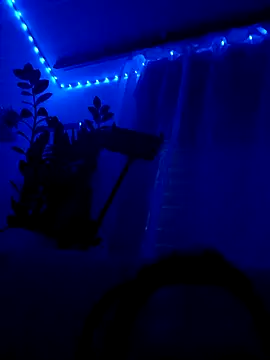 Taylor Sex6 online show from 02.12.26