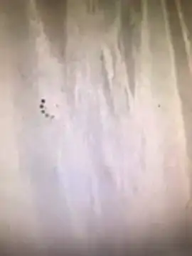 amasha200 online show from 03.09.26