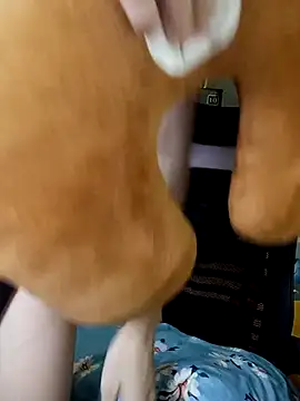 BiCute688 online show from 11.01.25