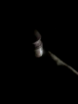 Snapshot of -bunny06 chatting on 10.10.25 -bunny06 online show from 10.10.25