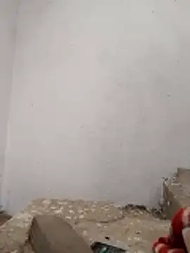 PEEHU-50 online show from 11.28.25