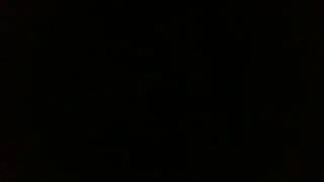 Venus cat  online show from 01.08.26