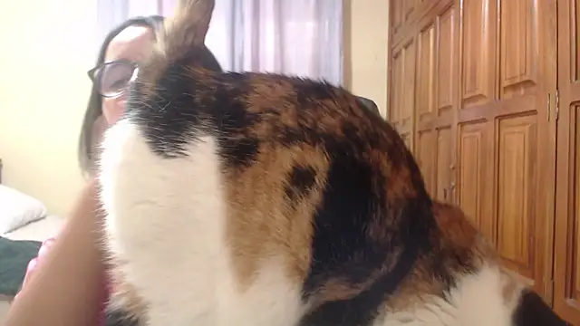 Venus cat  online show from 02.08.26