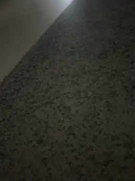 nice686xh online show from 11.30.25