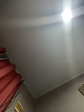 Priihmedeiros online show from 03.07.26