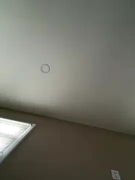 murphdolla online show from 12.19.25