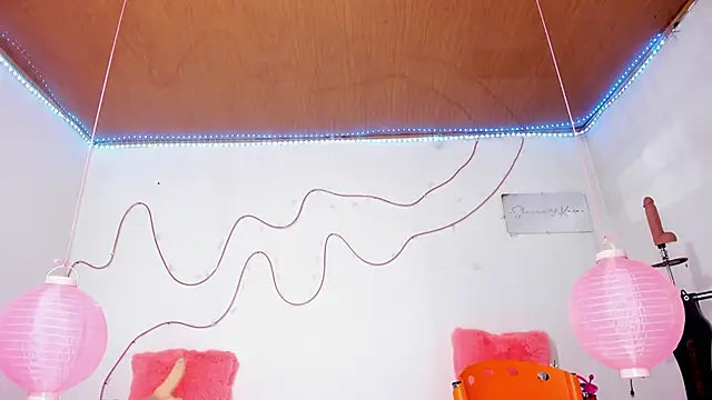 shannon kinne  online show from 11.12.25