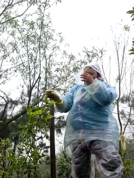 miomio-12 online show from 11.18.25