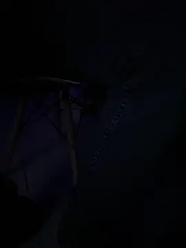 miiirk online show from 10.06.25