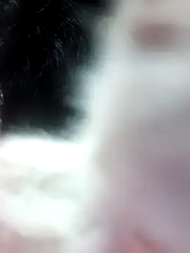 Snapshot of anjali2351 chatting on 02.10.26 anjali2351 online show from 02.10.26