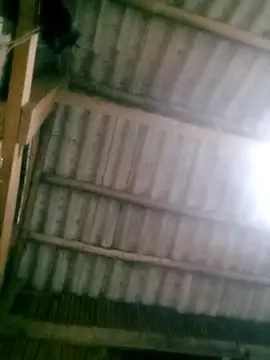 Ducky27021991 online show from 10.18.25