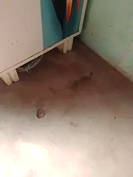 Tg sonam online show from 12.23.25