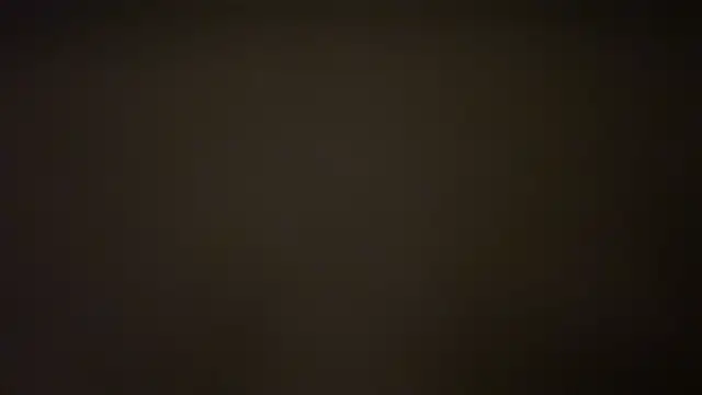 MolleDolle online show from 02.13.26