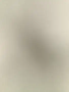 Anchal-8798 online show from 12.17.25