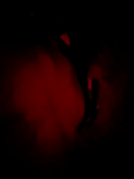 MoonQxX online show from 01.09.26