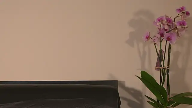 Snapshot of AbrilColls_ chatting on 03.15.26 AbrilColls online show from 03.15.26