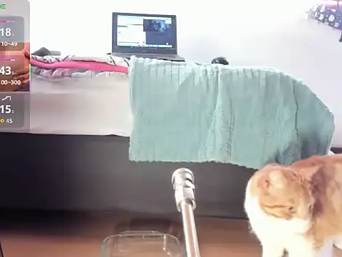 Snapshot of __Aragon__ chatting on 11.04.25 Aragon online show from 11.04.25