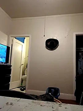 Snapshot of swipeswanger chatting on 11.01.25 swipeswanger online show from 11.01.25