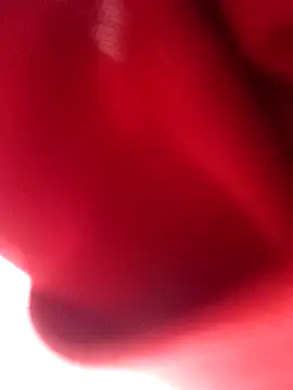 nalgastalla60 online show from 02.06.26