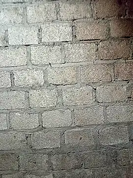 siusiu-00 online show from 03.26.26