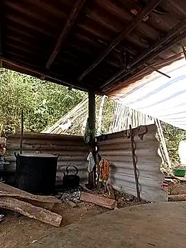 -Kem-01 online show from 02.26.26