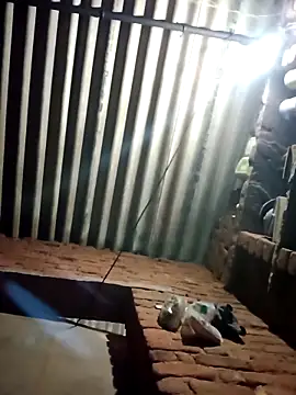 M-MAYA online show from 02.19.26