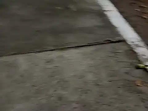 roludao fun online show from 12.04.25