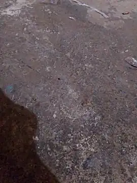 Orlao25cm online show from 11.16.25