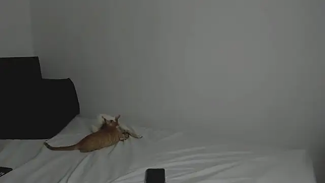 tifanymonroe online show from 10.30.25