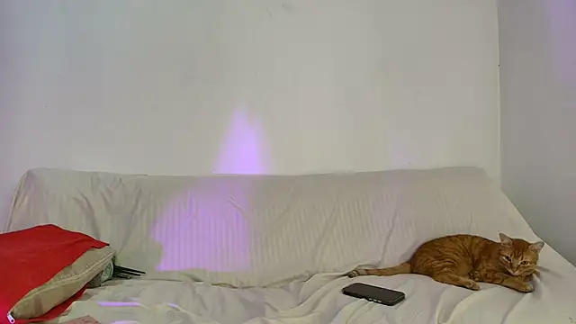 Nikki  uwu online show from 06.02.26