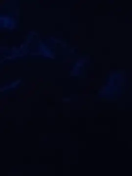 Snapshot of Cedric7653 chatting on 02.28.26 Cedric7653 online show from 02.28.26